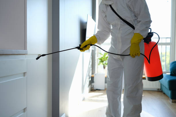 Crawl Space Mold Removal in Westworth Village, TX