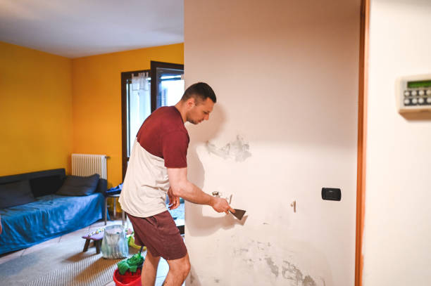 Best Mold Damage Repair  in Westworth Village, TX