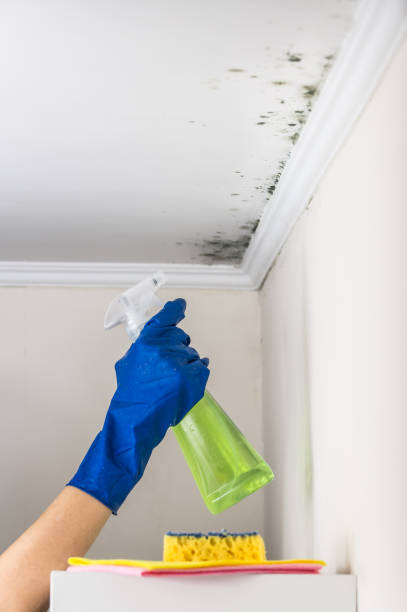Best Crawl Space Mold Removal  in Westworth Village, TX